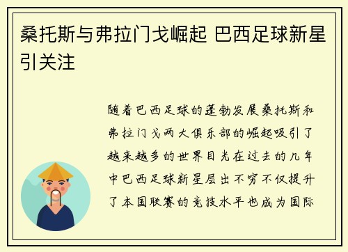 桑托斯与弗拉门戈崛起 巴西足球新星引关注
