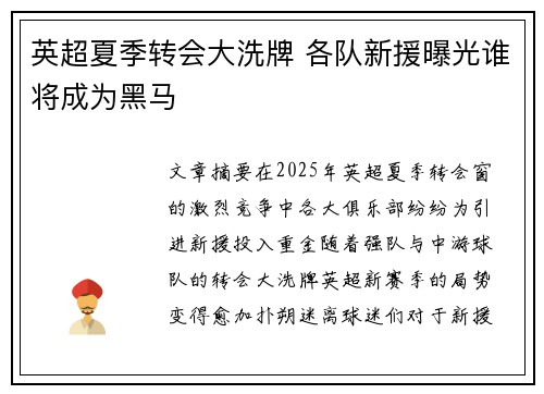英超夏季转会大洗牌 各队新援曝光谁将成为黑马